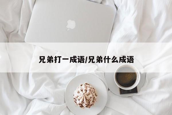 兄弟打一成语/兄弟什么成语