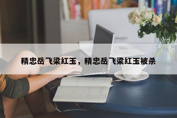 精忠岳飞梁红玉，精忠岳飞梁红玉被杀